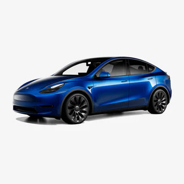 Model Y (2020-2025)